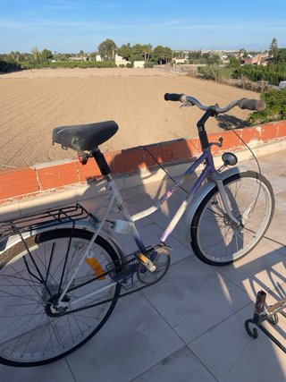 Bicicleta morada