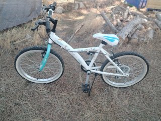 Bicicleta Paseo Mujer City 20