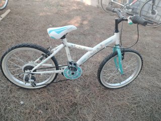 Bicicleta Paseo Mujer City 20
