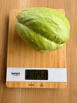 Chayote para comer o plantar