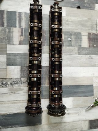 Árbol de levas admisión escape 330i M50 E36e e46