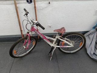 Bicicleta Niña Trek Rosa