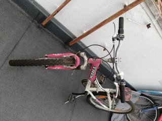 Bicicleta Niña Trek Rosa