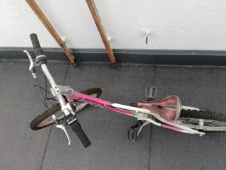 Bicicleta Niña Trek Rosa