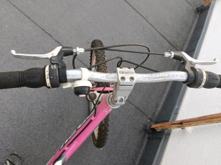 Bicicleta Niña Trek Rosa