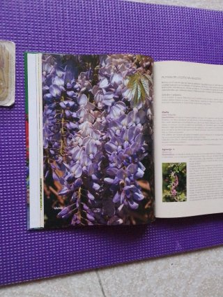 El gran libro de la jardinería