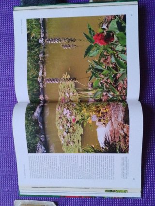 El gran libro de la jardinería