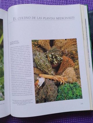 El gran libro de la jardinería