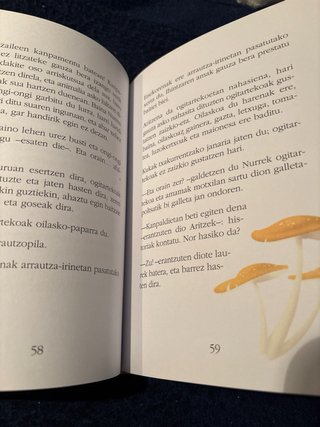 Nur eta oihan misteriotsua