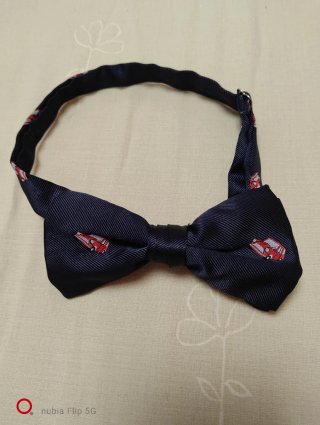 Pajarita niño azul con coches rojos