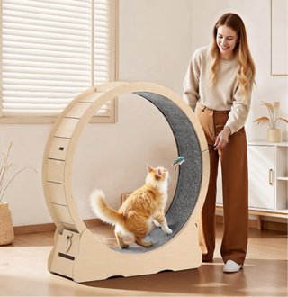 Rueda ejercicio para gatos madera y tela