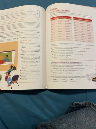 Diversificación Curricular Ámbito Lingüístico y...