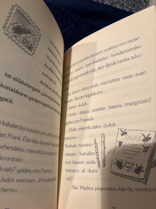 JUDY MOODY. LURRAREN SALBATZAILEA