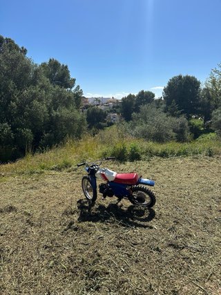 Puch Magnum