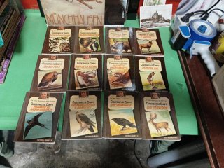 Colección de libros Cuadernos de Campo