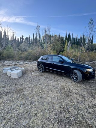 Audi SQ5 2014