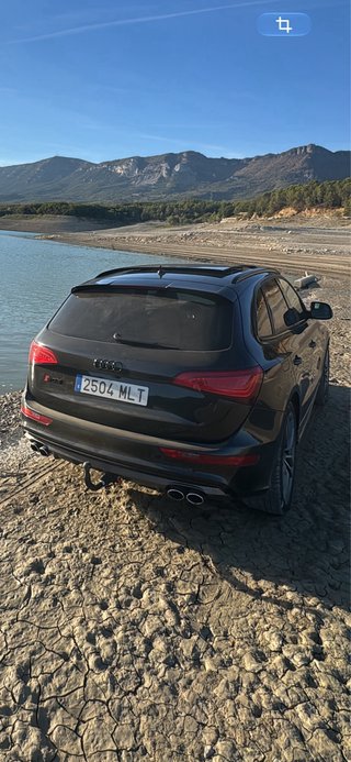 Audi SQ5 2014