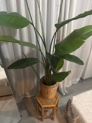 Planta Artificial Decorativa