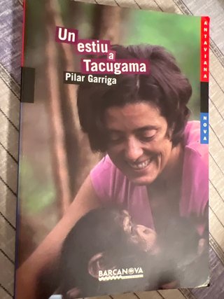 Un estiu a Tacugama