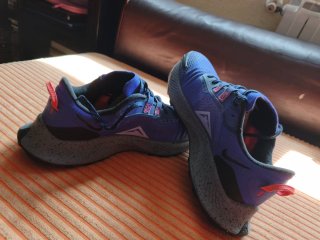 Zapatillas Nike Pegasus Trail