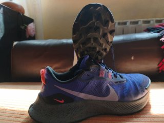 Zapatillas Nike Pegasus Trail