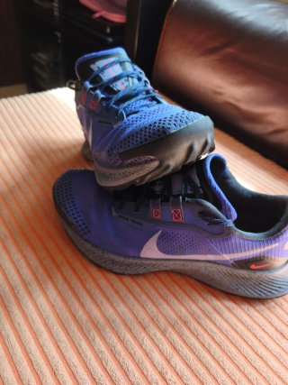 Zapatillas Nike Pegasus Trail