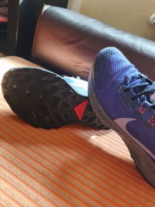 Zapatillas Nike Pegasus Trail