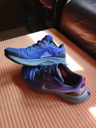 Zapatillas Nike Pegasus Trail
