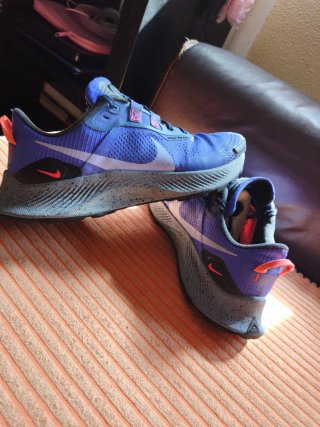 Zapatillas Nike Pegasus Trail