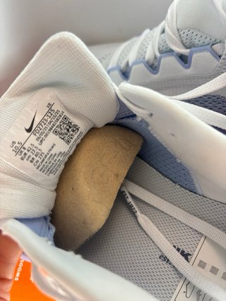 Zapatillas Nike Air Pegasus 41
