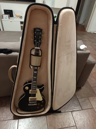 Custodia professionale Gator G-335 per chitarra