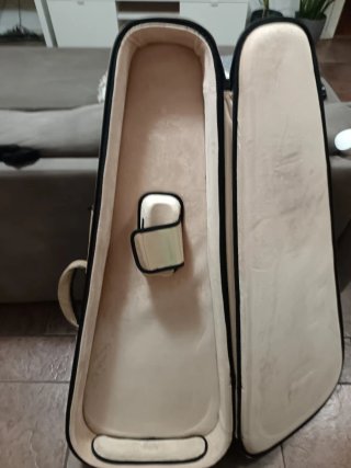Custodia professionale Gator G-335 per chitarra