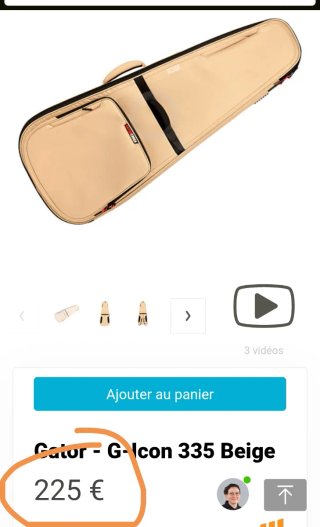 Custodia professionale Gator G-335 per chitarra