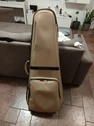 Custodia professionale Gator G-335 per chitarra