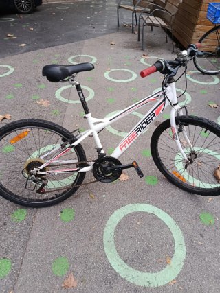 Bicicleta de Montaña 24 Pulgadas Freerider