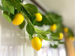 3 Guirnaldas de Limones Artificiales