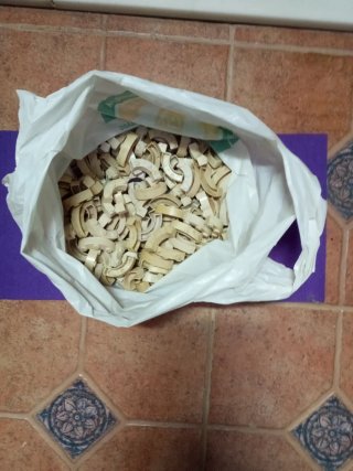 Lote de Piezas Curvas Exin Castillos Bajado de pre