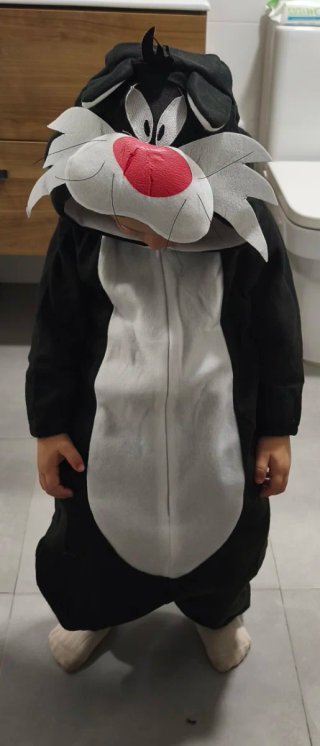 Disfraz de Silvestre para niño