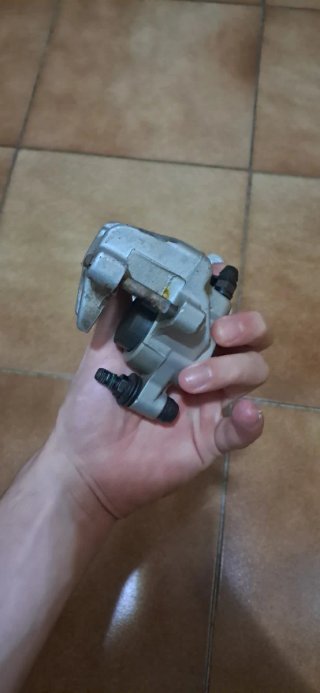 Pinza Freno Trasera Brembo