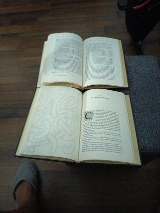 LIBROS THOR Y ODIN