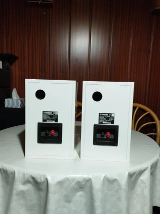 Altavoces Yamaha NX-E800 Blanco piano Hifi