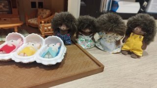 Casa Sylvanian Families con accesorios