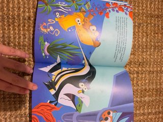 Buscando a Nemo