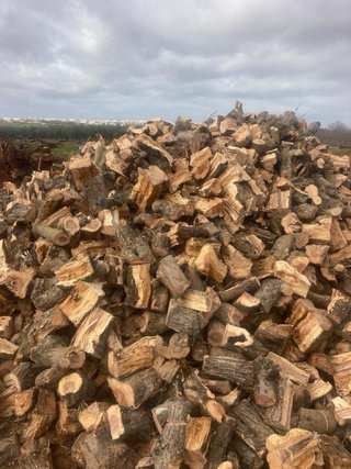 Leña Seca de Encina, Carrasca y Olivo