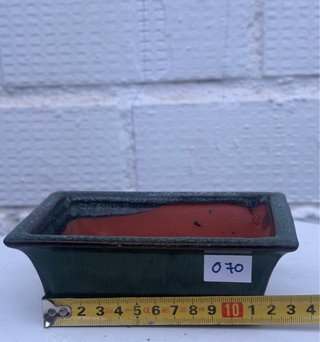 Maceta Bonsái Shohin Rectangular Esmaltada Verde C