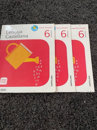 Lengua castellana 6 Primaria
