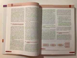 Psicología social: (XVIII, 299 p.)