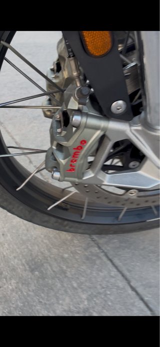 Triumph Tiger 900 Rally Pro Negra/Blanca