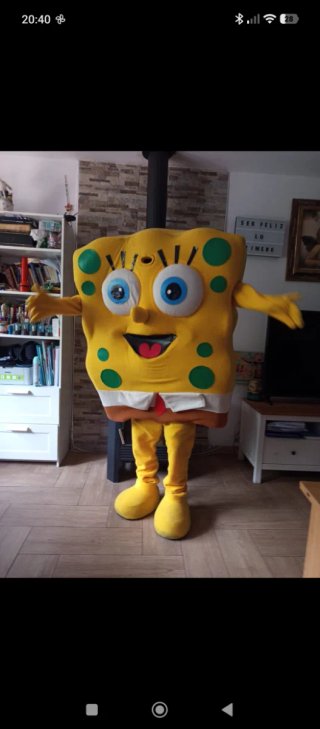 Bon esponja