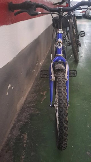 Bicicleta Infantil 20 Pulgadas Azul